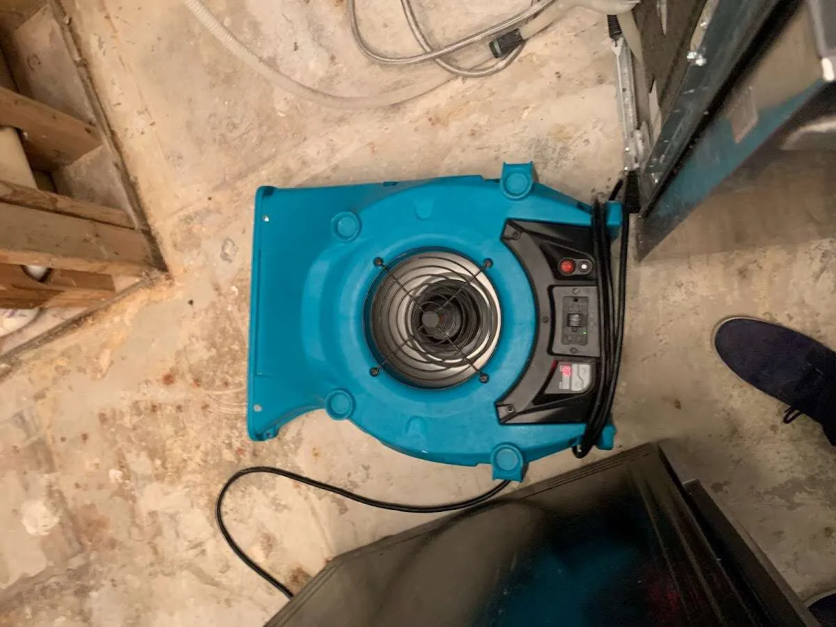 Air mover drying equipment for Mold Remediation & Removal in Robeson
